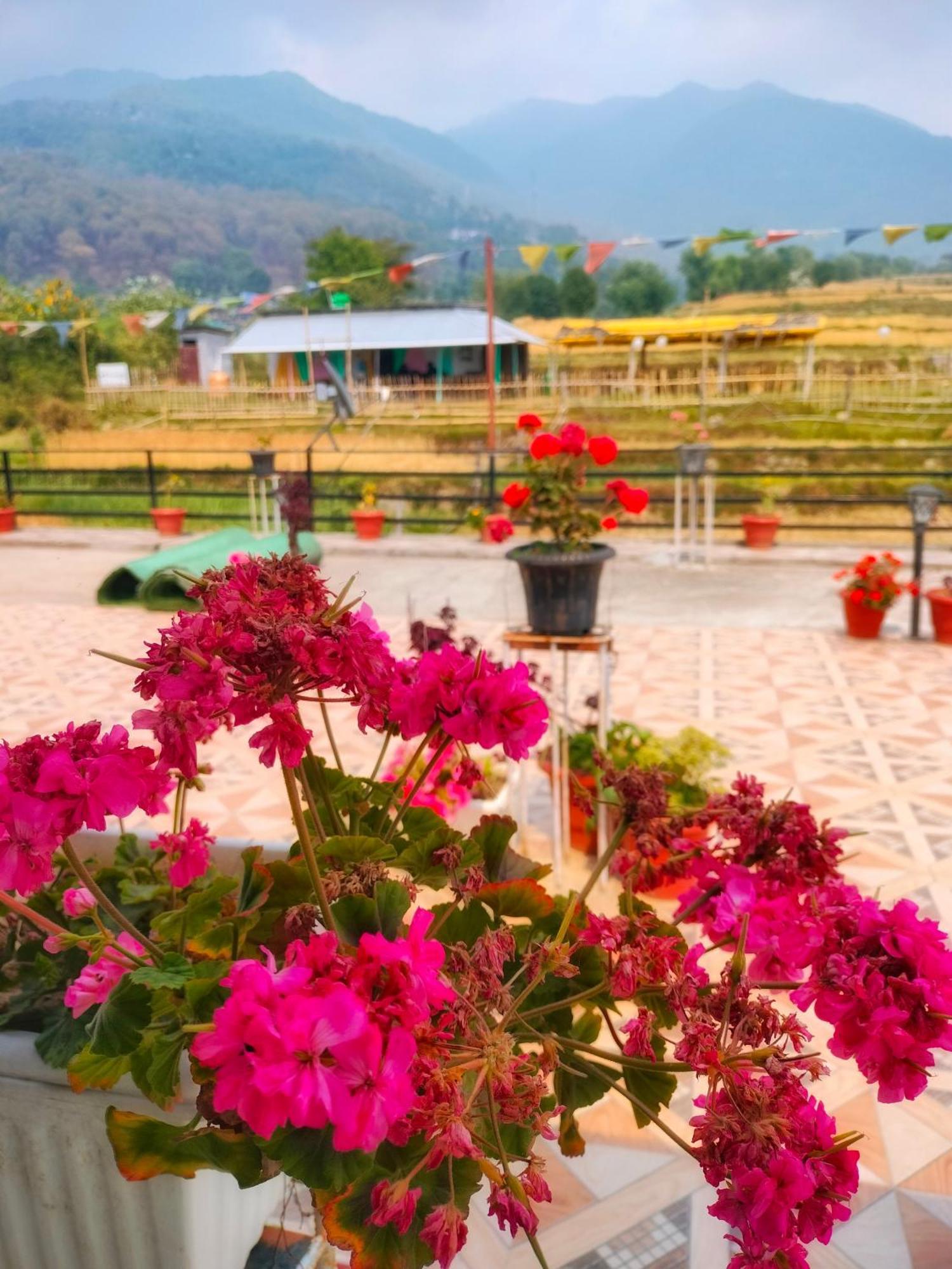 Raahi Stay, Landing Site Bir - Stay & Cafe Extérieur photo